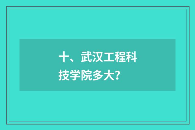 十、武汉工程科技学院多大？