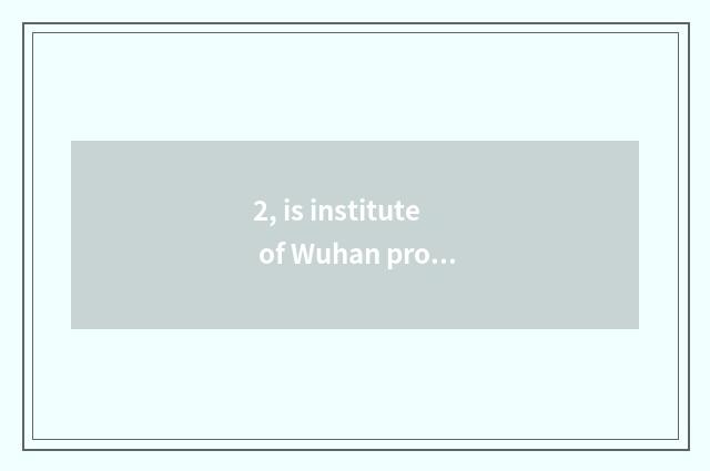 2, is institute of Wuhan project science and technology Wuhan project university