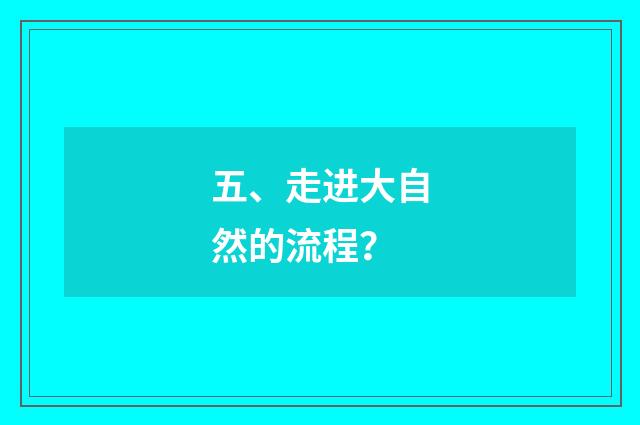 五、走进大自然的流程？