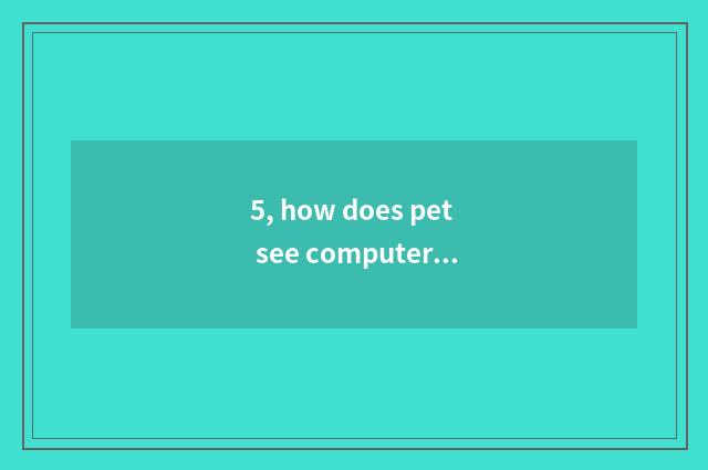 5, how does pet see computer edition do not play again and again?
