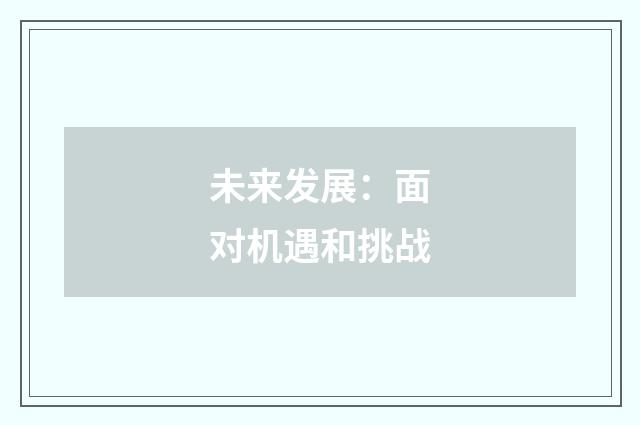 未来发展：面对机遇和挑战