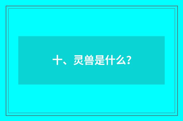 十、灵兽是什么？