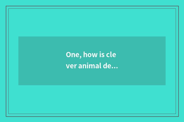 One, how is clever animal developmental in pocket clever animal?