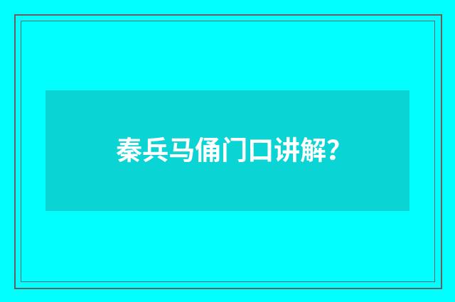 秦兵马俑门口讲解？