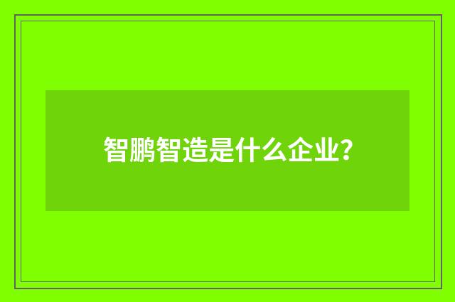 智鹏智造是什么企业？
