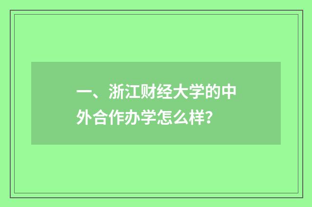 一、浙江财经大学的中外合作办学怎么样？