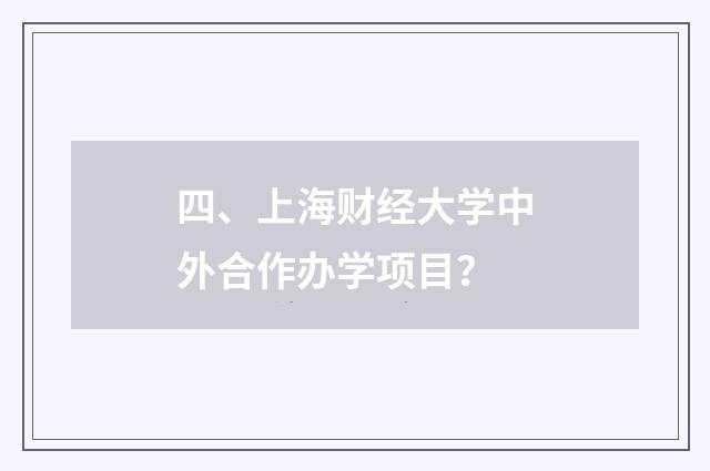 四、上海财经大学中外合作办学项目？