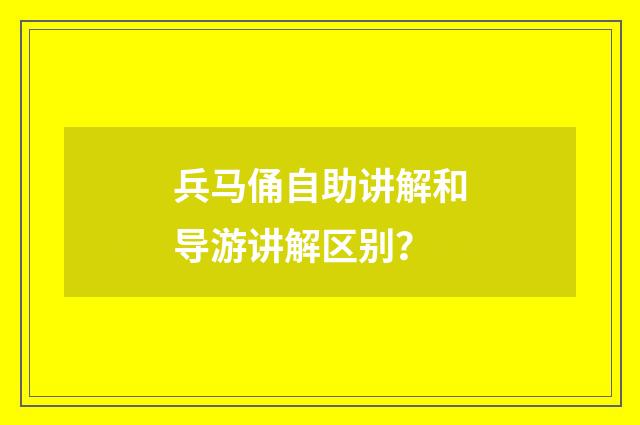 兵马俑自助讲解和导游讲解区别？