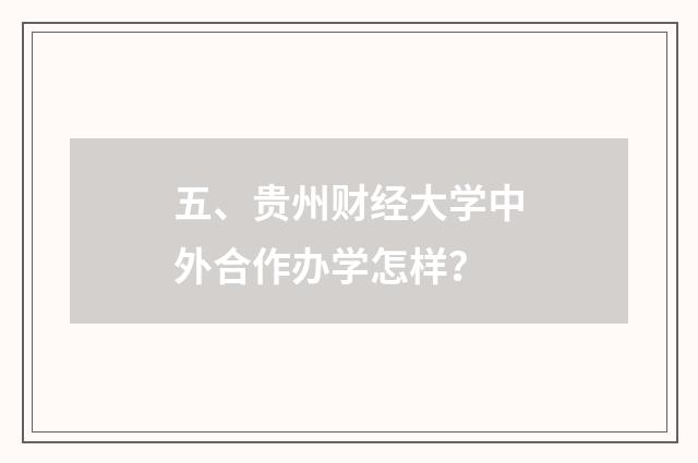 五、贵州财经大学中外合作办学怎样？