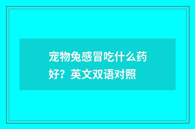 宠物兔感冒吃什么药好？英文双语对照