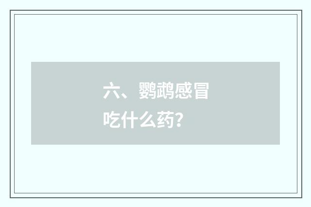 六、鹦鹉感冒吃什么药？