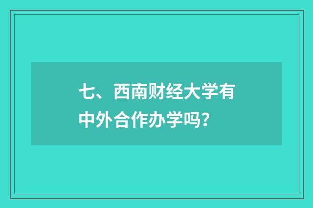 七、西南财经大学有中外合作办学吗？