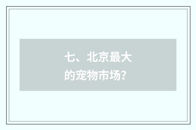 七、北京最大的宠物市场？