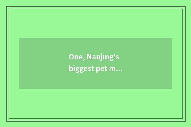 One, Nanjing's biggest pet market?