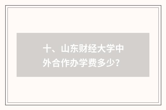 十、山东财经大学中外合作办学费多少？