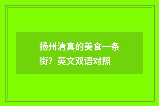 扬州清真的美食一条街？英文双语对照