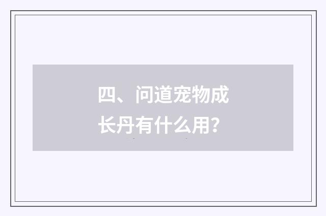 四、问道宠物成长丹有什么用？