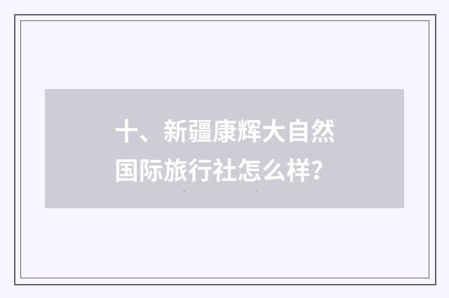 十、新疆康辉大自然国际旅行社怎么样?