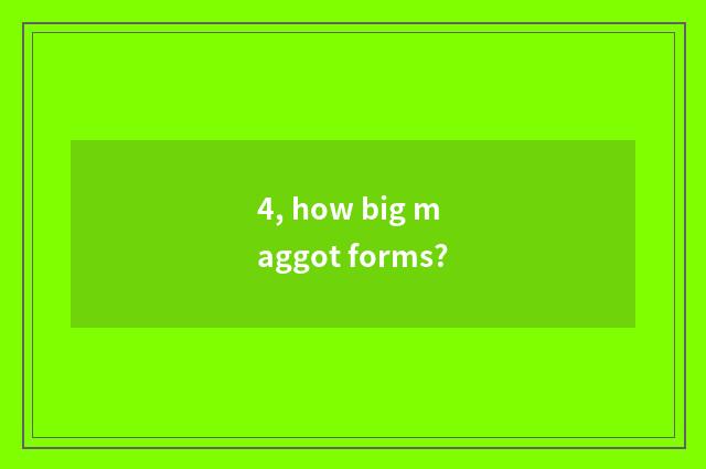 4, how big maggot forms?