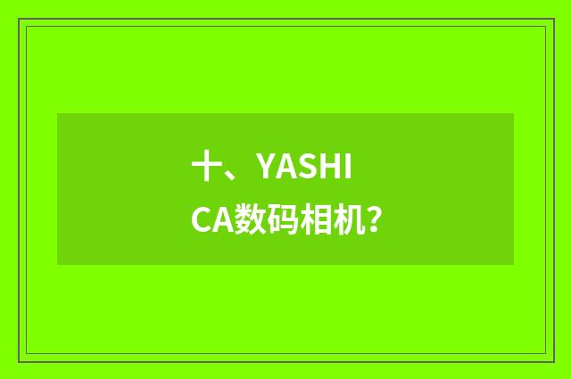 十、YASHICA数码相机？