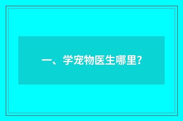 一、学宠物医生哪里？