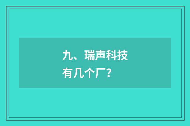 九、瑞声科技有几个厂？