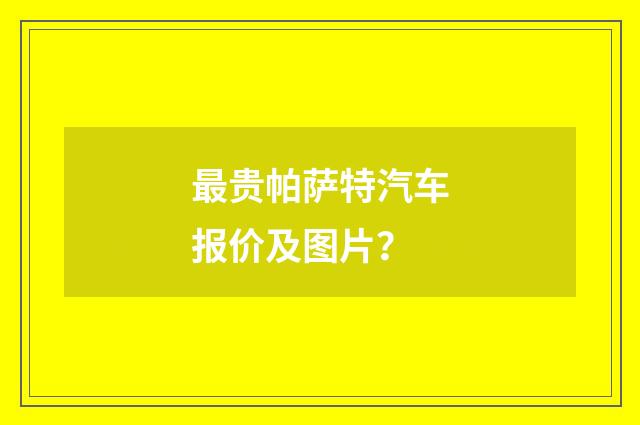 最贵帕萨特汽车报价及图片？