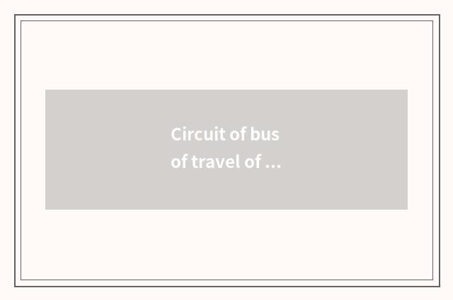 Circuit of bus of travel of Dalian around the city how many time?