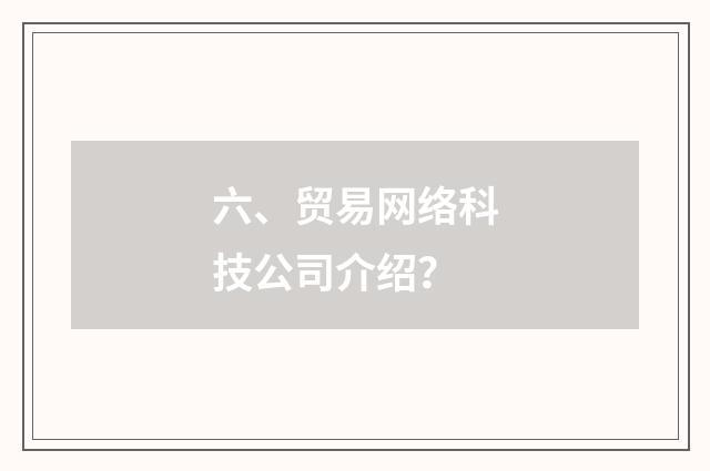 六、贸易网络科技公司介绍？