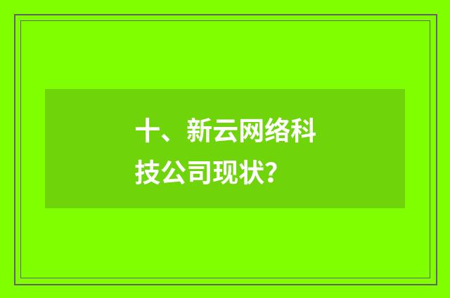 十、新云网络科技公司现状？