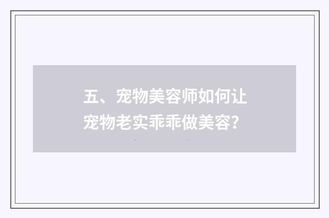 五、宠物美容师如何让宠物老实乖乖做美容？