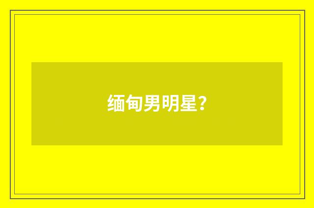 缅甸男明星？