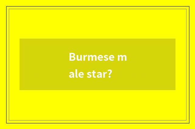 Burmese male star?