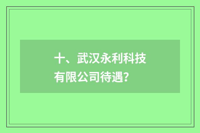 十、武汉永利科技有限公司待遇？