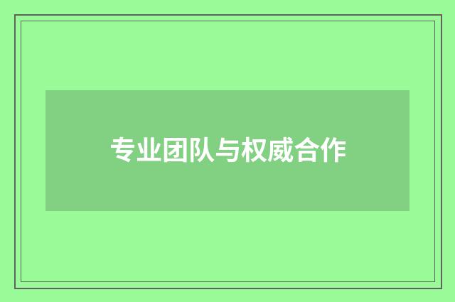 专业团队与权威合作