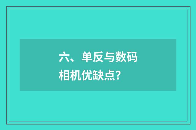 六、单反与数码相机优缺点？