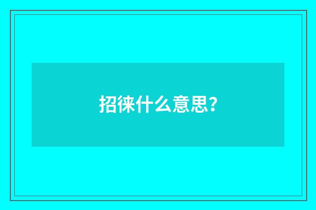 招徕什么意思？