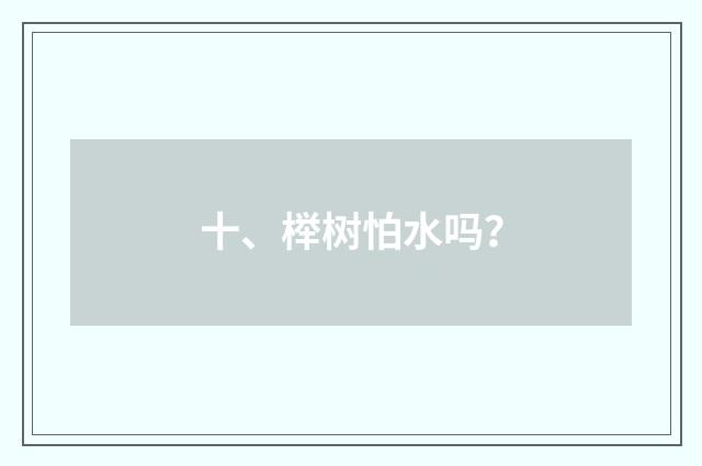 十、榉树怕水吗？