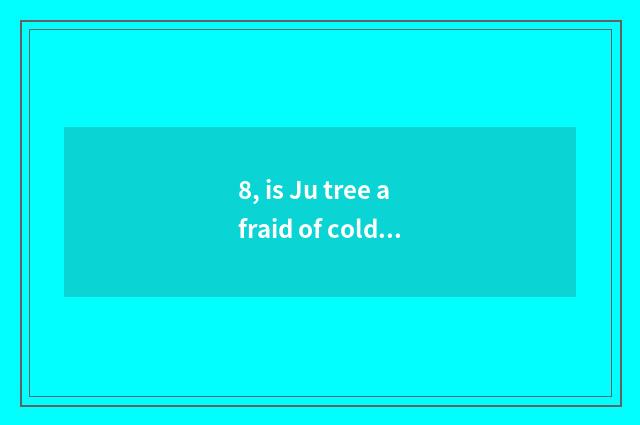 8, is Ju tree afraid of cold?