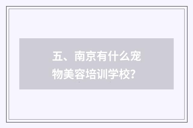 五、南京有什么宠物美容培训学校？