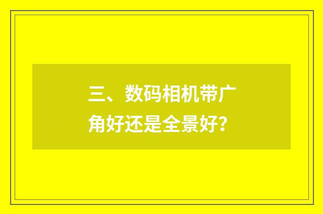 三、数码相机带广角好还是全景好?
