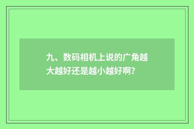 九、数码相机上说的广角越大越好还是越小越好啊？