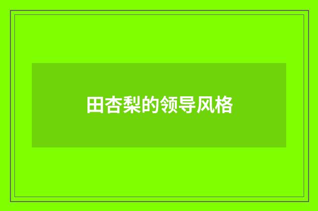 田杏梨的领导风格