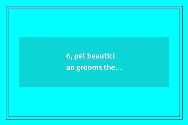 6, pet beautician grooms the price-----Changzhou?