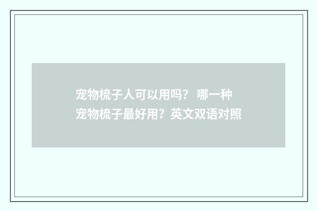 宠物梳子人可以用吗？ 哪一种宠物梳子最好用？英文双语对照