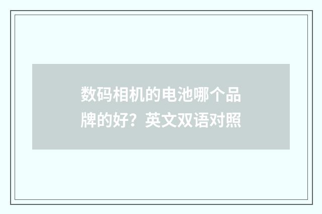 数码相机的电池哪个品牌的好？英文双语对照