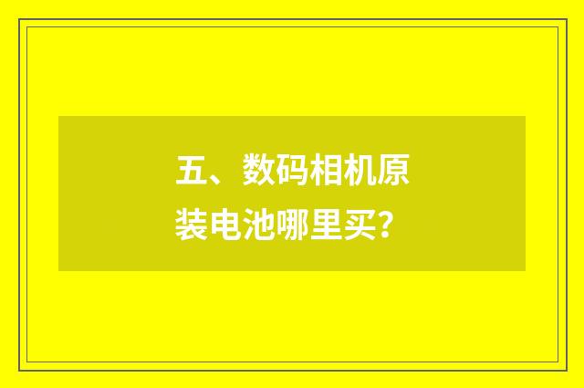 五、数码相机原装电池哪里买？