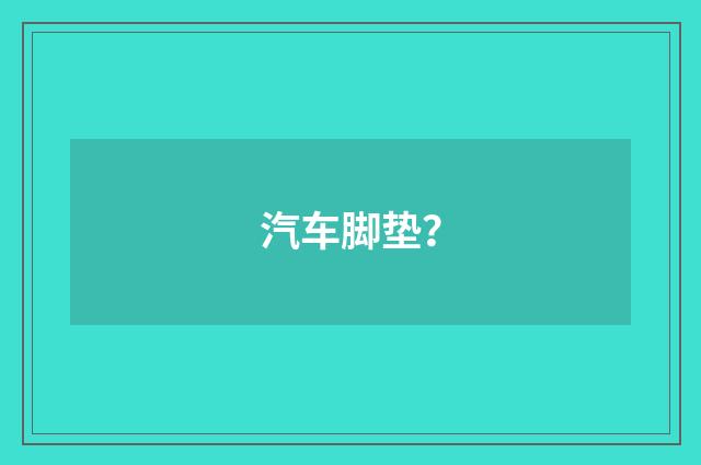 汽车脚垫？