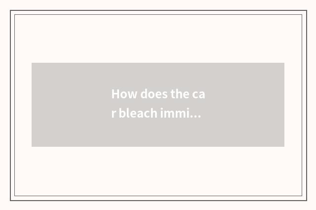 How does the car bleach immigrant library?