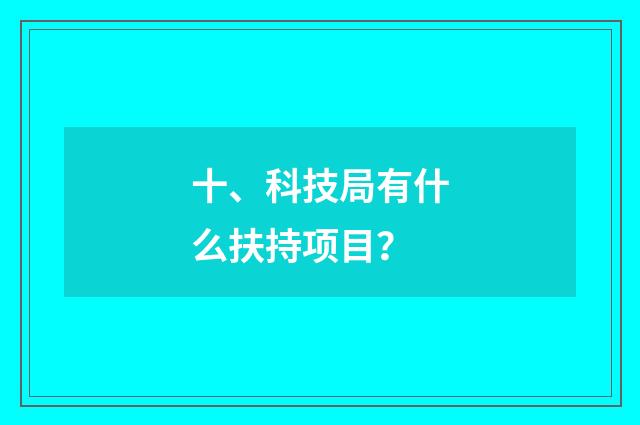 十、科技局有什么扶持项目？